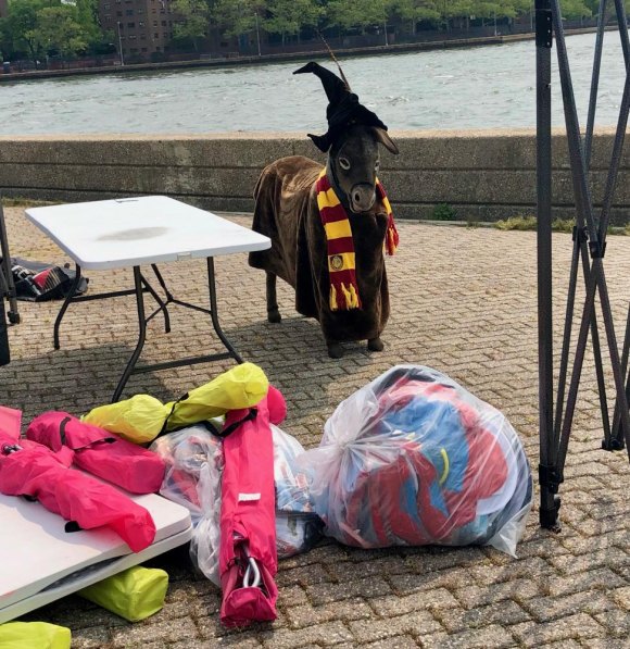 Scenes From FIGMENT NYC 2019, Early in Lighthouse Park ... while the burro stood guard.